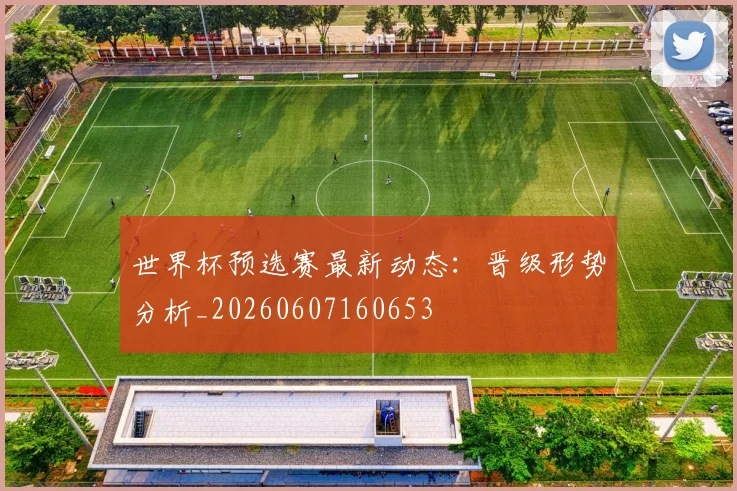世界杯预选赛最新动态：晋级形势分析_20260607160653
